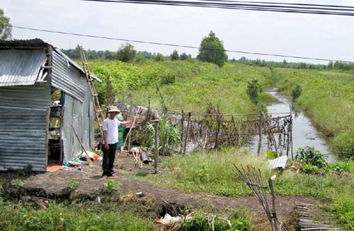 Vì sao hàng trăm hécta đất nông nghiệp bị “bỏ hoang”(!?)