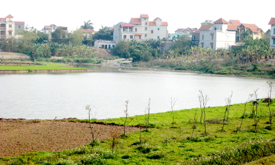 Mếu dở vì... vàng, đất