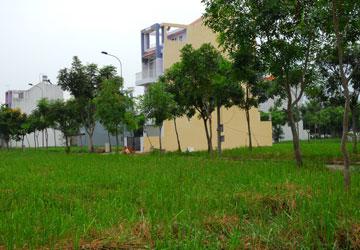 Bất động sản đang như hổ rình mồi