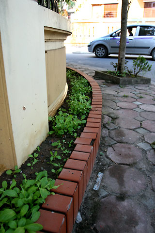 Biến hóa độc đáo với vườn rau trong nhà