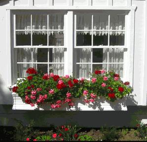 Trang trí cửa sổ đơn giản 