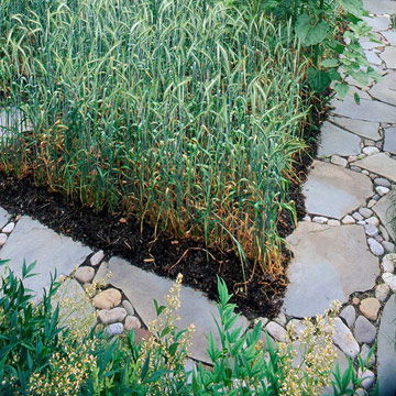 Lối đi trong vườn