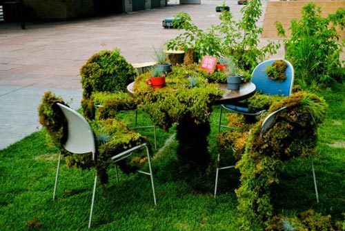 Văn phòng bị thực vật đánh chiếm