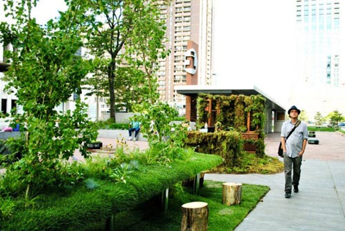 Văn phòng bị thực vật đánh chiếm