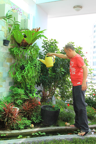 Góc yên tĩnh của nghệ sĩ Hoàng Sơn