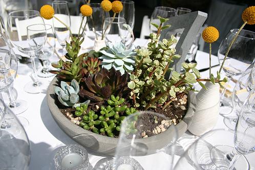 Chăm chút cho khu vườn xinh xinh 