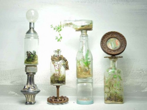 Sử dụng lọ thủy tinh trồng cây