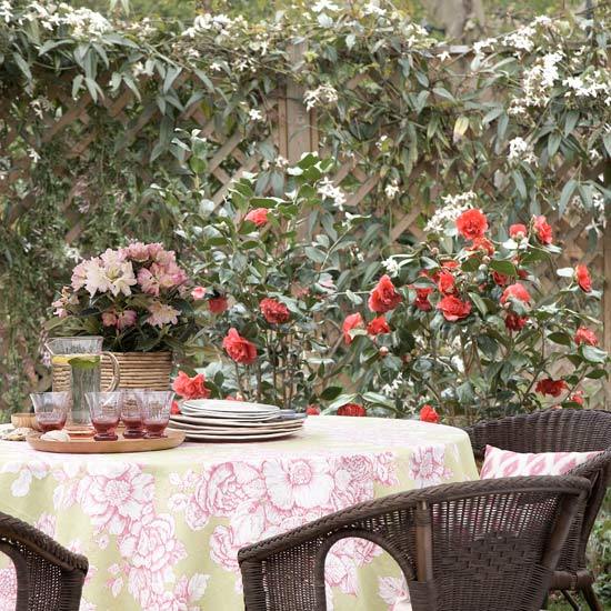 Những ý tưởng độc đáo làm đẹp patio nhà bạn