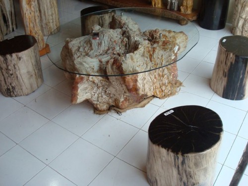 Những sáng tạo độc đáo từ thân cây
