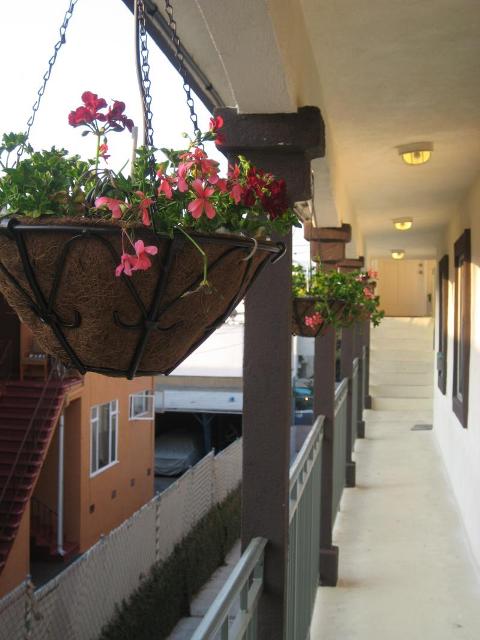 Điểm nhấn Valentine với ban công hoa 