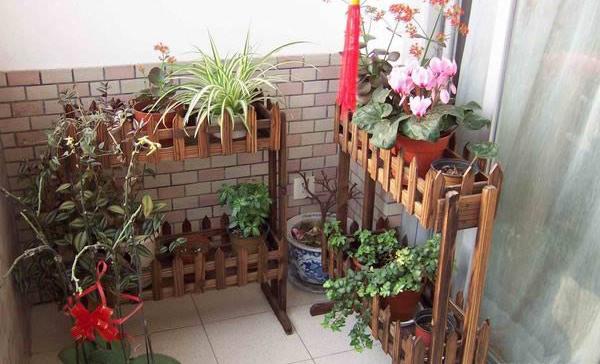 Khu vườn di động 