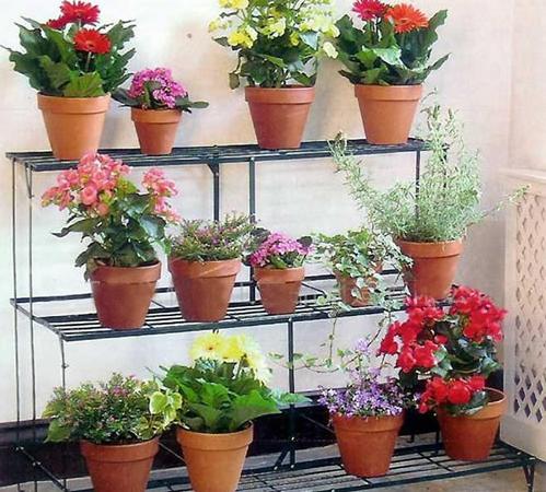 Khu vườn di động 