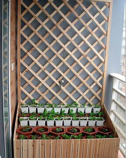 Khu vườn di động 