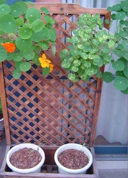 Khu vườn di động 