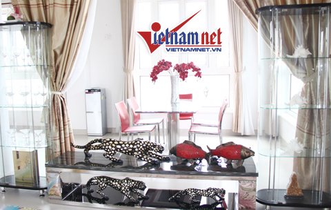 Amy Hương từng học tiếng Anh ở Singapore rồi qua Úc học chuyên ngành kinh tế. Cô trở về Việt Nam được 2 năm nay vừa tham gia lĩnh vực kinh doanh bất động sản, mở quán bar ở quận 1 và đóng phim. Amy từng gây ấn tượng với hai bộ phim Cơn mưa tình yêu, Chiếc giường ngăn đôi và hiện chuẩn bị đóng một bộ phim truyền hình dài 40 tập. Amy Hương bảo thời gian gần đây có những bài báo và hình ảnh đề cập tới chuyện tình cảm của cô và Tiến Đoàn gây sự bất lợi nhưng Amy không muốn lên tiếng hay đính chính nhiều mặc dù trong lòng rất buồn.