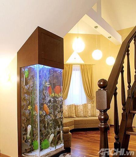 Bí quyết trang trí bể cá thủy sinh trong nhà 