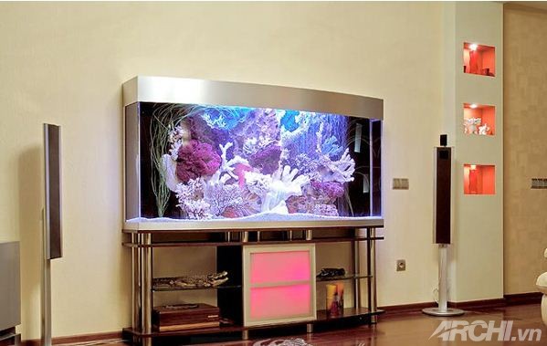 Bí quyết trang trí bể cá thủy sinh trong nhà 