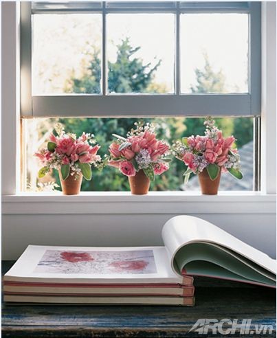 Không gian ngoài trời đẹp lạ với những chậu cây 