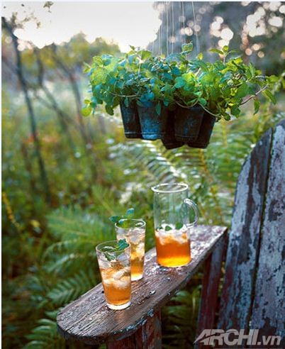 Không gian ngoài trời đẹp lạ với những chậu cây 