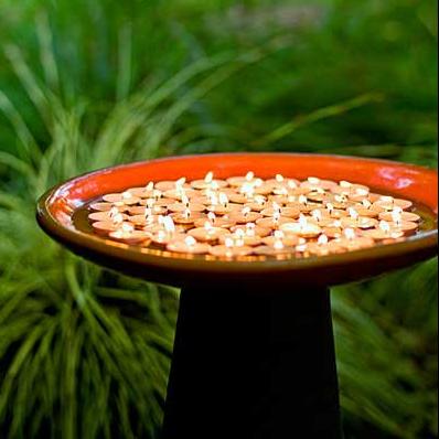 Đèn cho vườn yêu 