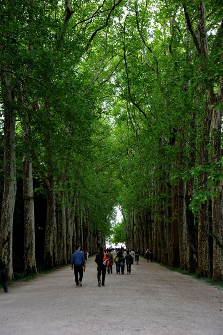 Chenonceau: Lâu đài trên sông của các quý bà
