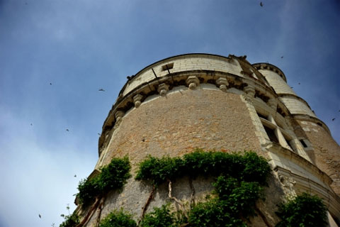 Chenonceau: Lâu đài trên sông của các quý bà