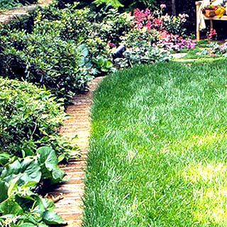 Đường viền cho khu vườn