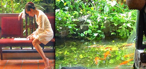 Nghé thăm nhà Bống - Hồng Nhung