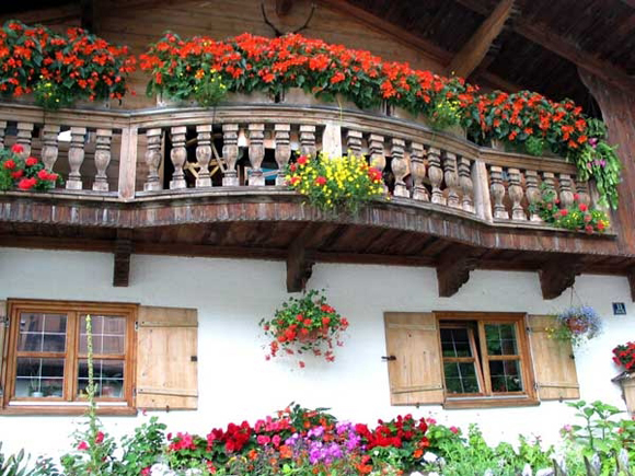 Lời thì thầm của hoa cỏ nơi ban công