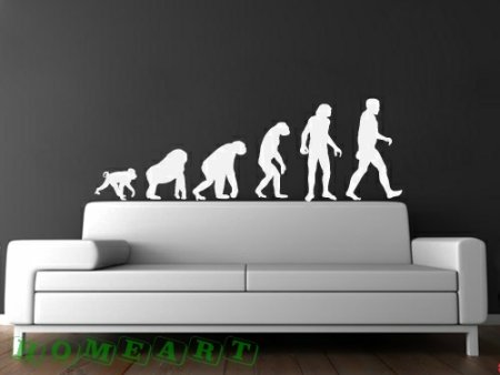 Sáng tạo với Decal dán tường