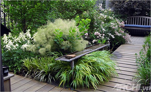 Patio sinh động hơn nhờ cây xanh