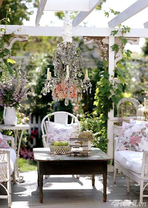 Patio sinh động hơn nhờ cây xanh