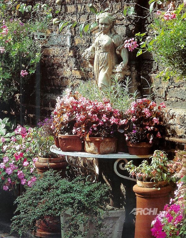 Patio sinh động hơn nhờ cây xanh