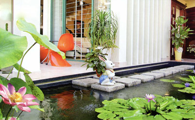 Trồng sen trong vườn nhà