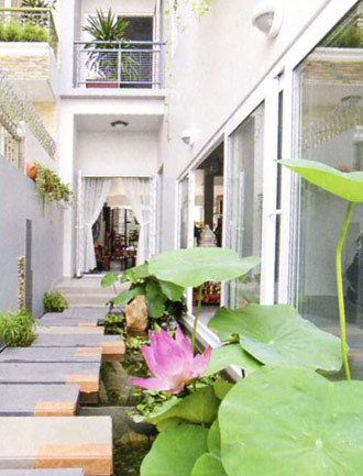 Trồng sen trong vườn nhà