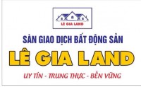 Lê Việt Anh