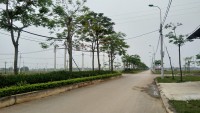 Nguyễn Hoa Lư