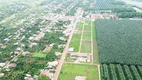 ngô văn thao