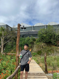 Huy Nguyễn