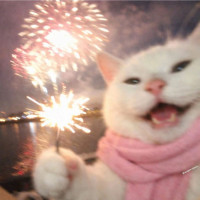Quý