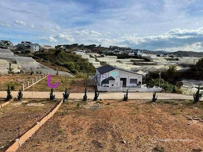 Bán đất thổ cư: Bán đất biệt thự View đẹp ngay thị trấn Lạc Dương thành phố Đà L