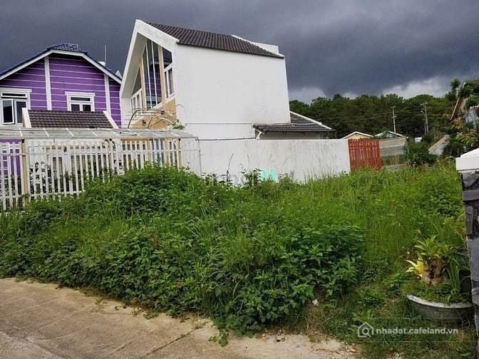 Phòng trọ: Bán đất biệt thự đường Mai Anh Đào, ngay thung lũng Tình yêu Đà Lạt