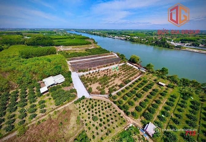 Bán nhà riêng: Bán nhà vườn ven sông Đồng Nai xã Bình Lợi, sổ hồng 1607m2 giá 6.