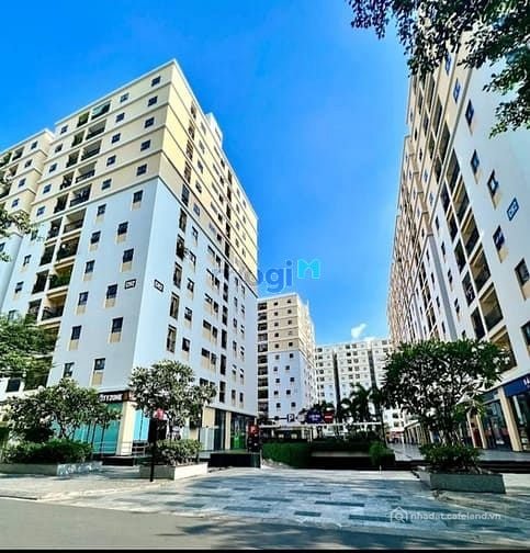 Bán căn hộ chung cư: Cityland Park Hill 102m2,3pn chỉ 6ty500tr ntcb đã có sổ