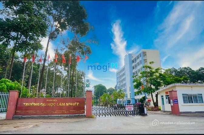 bán đất đường trần phú, xã quảng tiến trảng bom 2200m2 giá chỉ 5tr6/m2