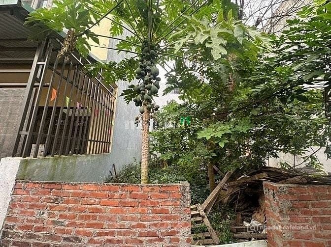 Bán đất thổ cư: Bán Đất Hoà Lạc, tai Phú Cát, Ô Tô Tránh Vỉa Hè, 110 m2, Đối Điệ