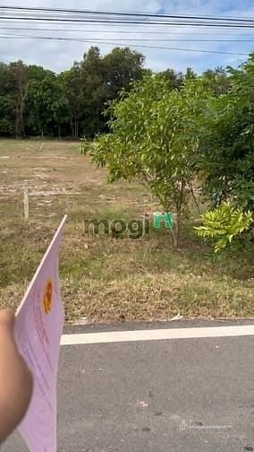 Bán đất thổ cư: Bán Đất Mặt Tiền Đt795, Gần Khu Công Nghiệp, Thích Hợp Kinh Doan