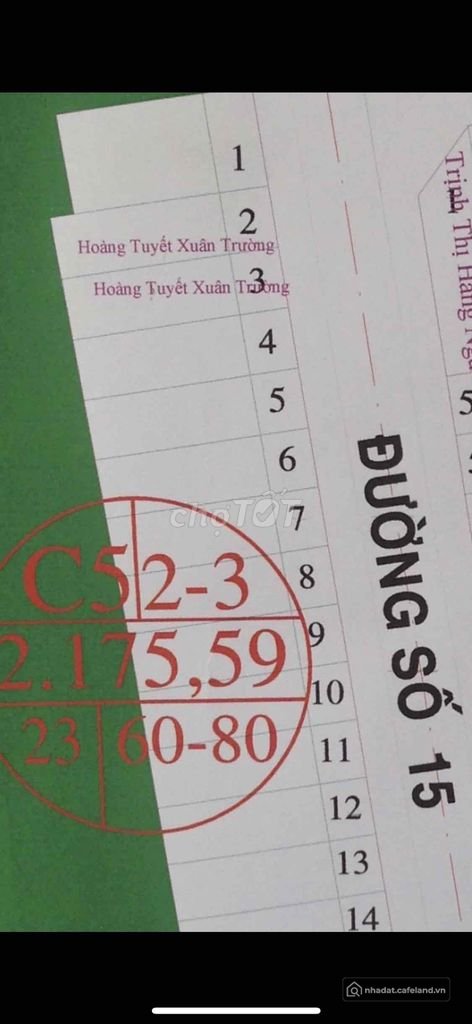 Bán đất nền dự án: Đất T&T Long Hậu