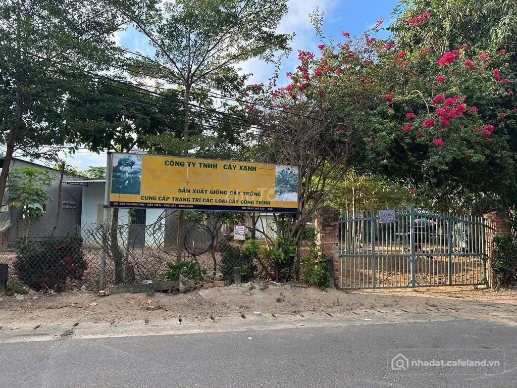 Bán đất nông, lâm nghiệp: BÁN ĐẤT MẶT TIỀN Ở Thị trấn Cát Tiến, Tỉnh Bình Định