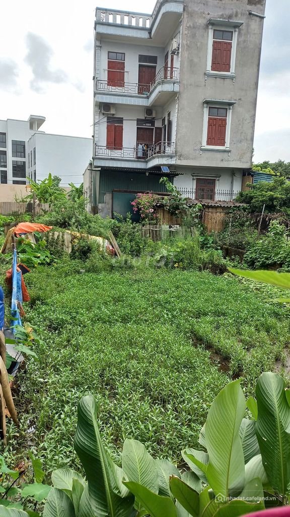 Bán đất thổ cư: E chính chủ cần bán gấp đất Phúc Lợi, diện tích 54,3 m2